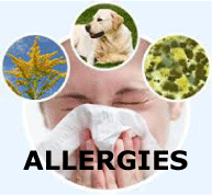allergies link